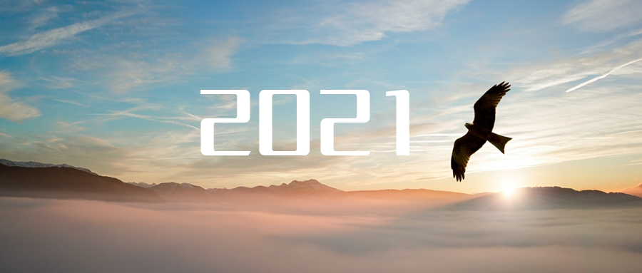 乘“峰”而上，智“盈”未来 ——2021年J9九游会环境高级资深副总裁新年开工动员